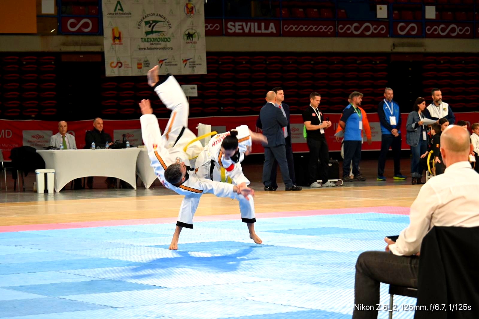 Hapkido